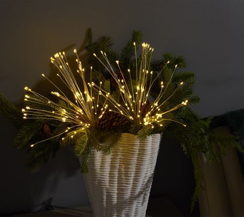 Bethlehem Lights (2) Star Bursts with Remot