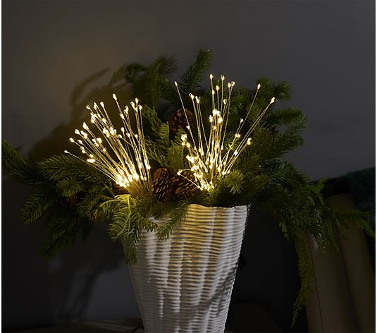 (2) Star Bursts with Remote